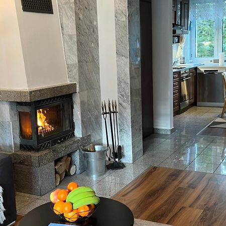 Sweet Home Cieplice Mountain View Apartament By The Main Park And Thermal Pools Jelenia Gora Ngoại thất bức ảnh
