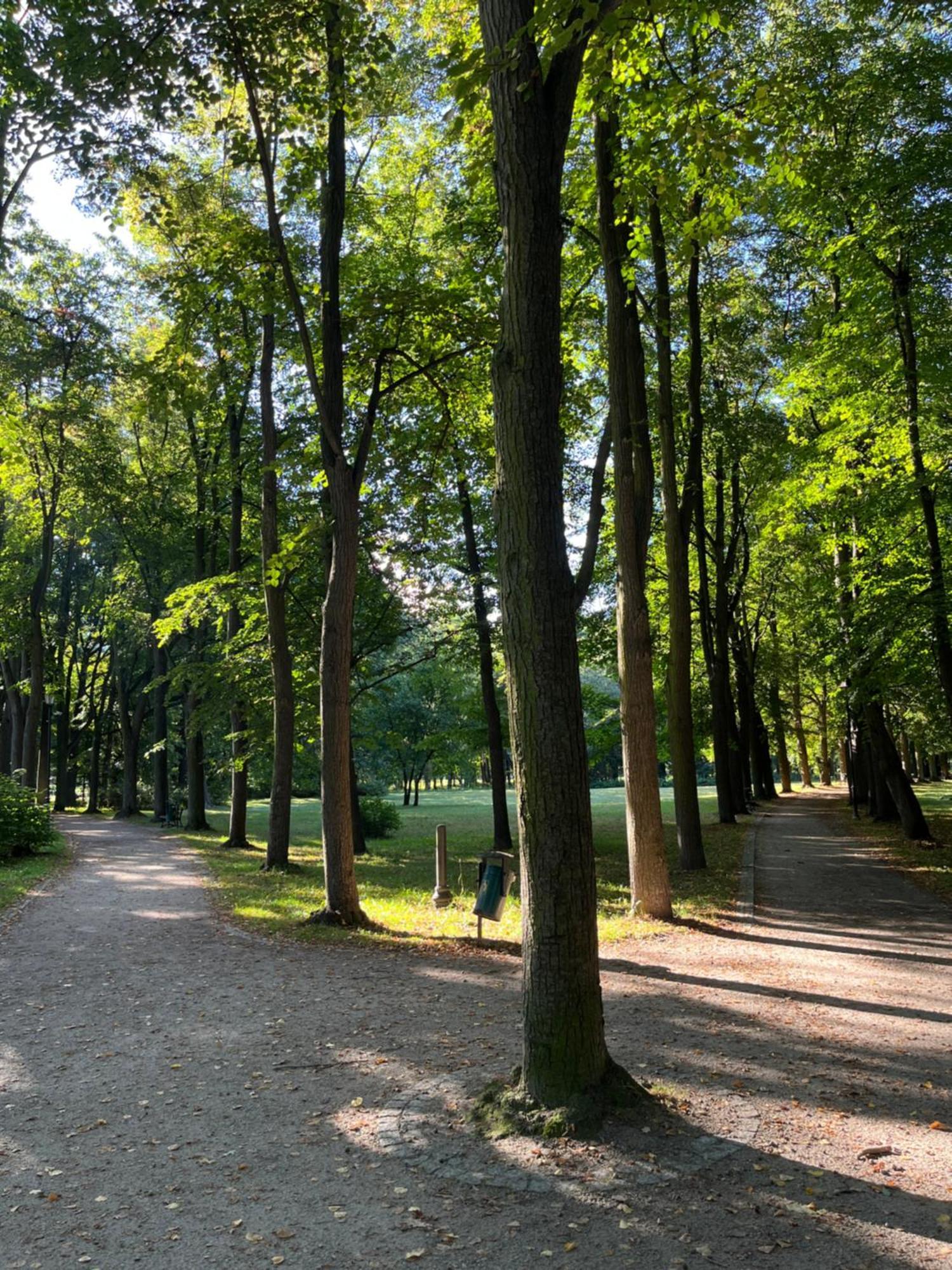 Sweet Home Cieplice Mountain View Apartament By The Main Park And Thermal Pools Jelenia Gora Ngoại thất bức ảnh