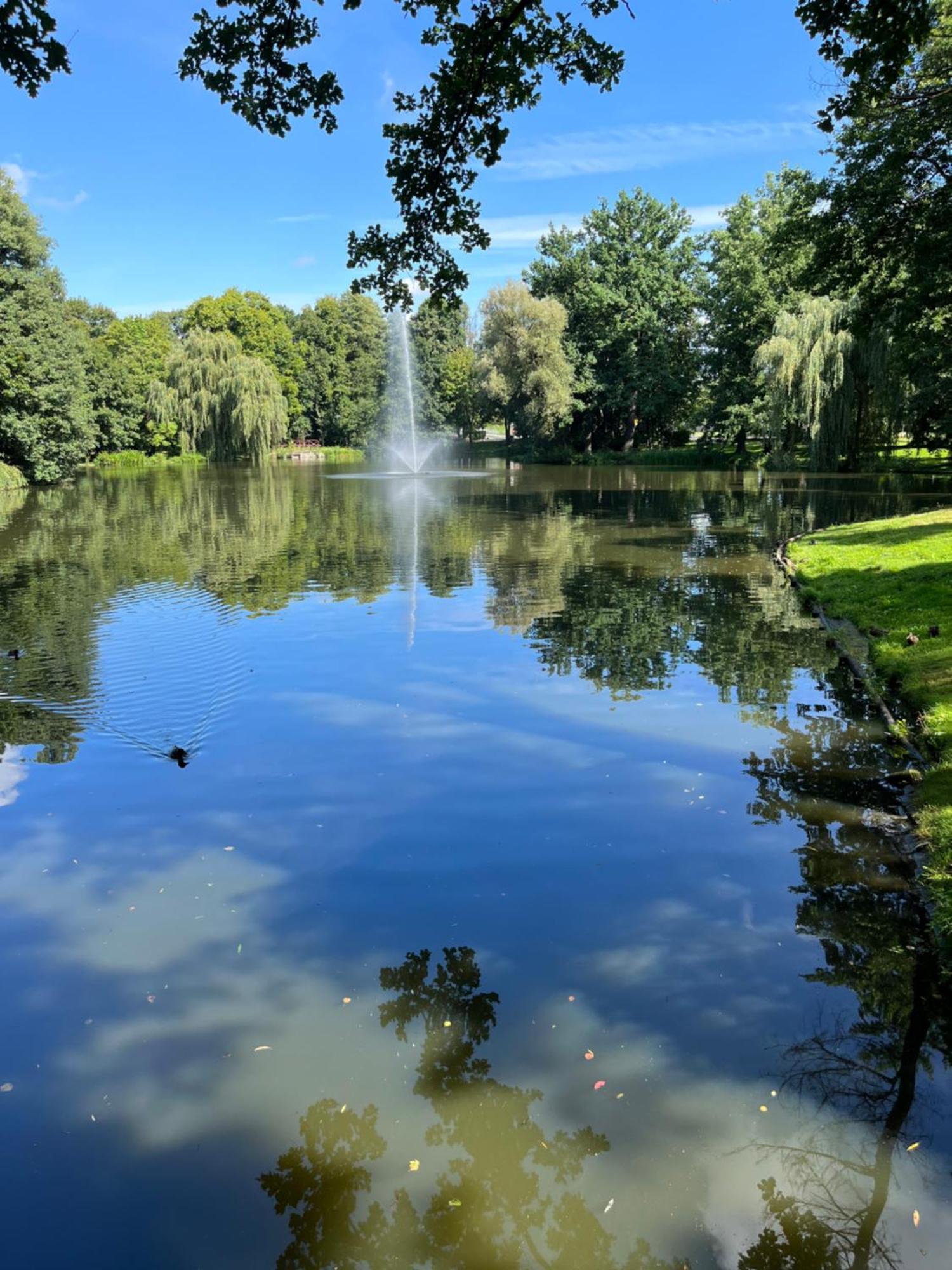 Sweet Home Cieplice Mountain View Apartament By The Main Park And Thermal Pools Jelenia Gora Ngoại thất bức ảnh